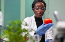 food scientist hire